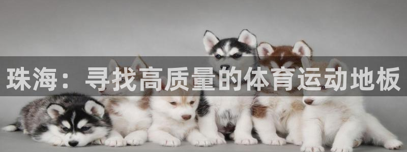 斗体育西甲授权：珠海：寻找高质量的体育运动地板