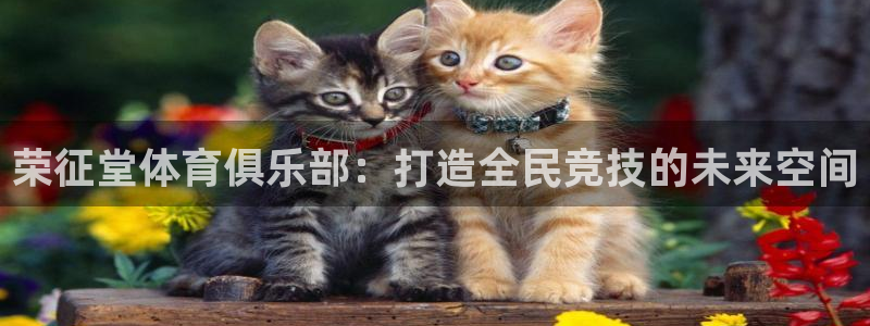 斗体育app官网入口：荣征堂体育俱乐部：打造全民竞技的未来空间