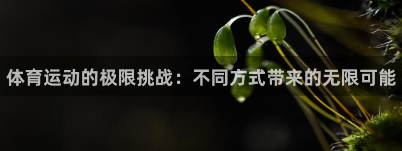 斗体育app下载官网苹果：体育运动的极限挑战：不同方式带来的无限可能
