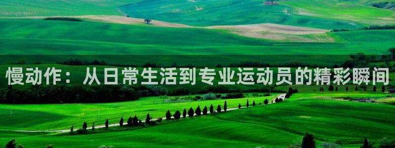 斗体育投屏app官方下载：慢动作：从日常生活到专业运动员的精彩瞬间