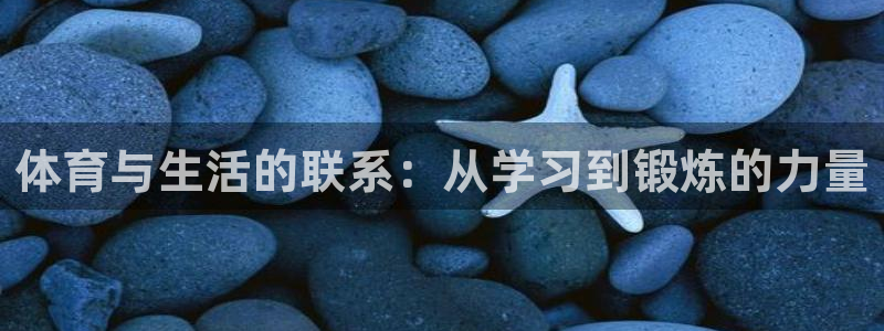 斗体育vip官网入口：体育与生活的联系：从学习到锻炼的力量