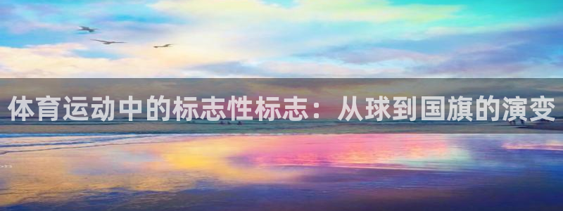 斗体育小鱼：体育运动中的标志性标志：从球到国旗的演变