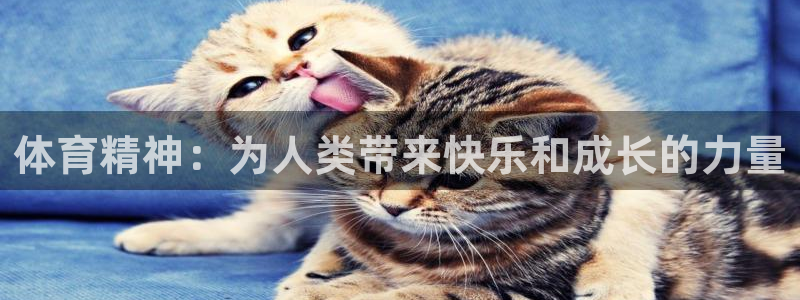 斗体育app官网入口：体育精神：为人类带来快乐和成长的力量