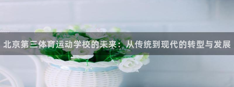 斗体育篮球直播：北京第三体育运动学校的未来：从传统到现代的转型与发展