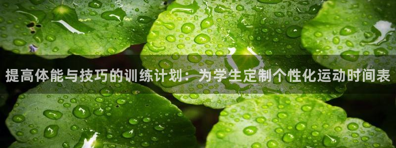 斗体育官网：提高体能与技巧的训练计划：为学生定制个性化运动时间表
