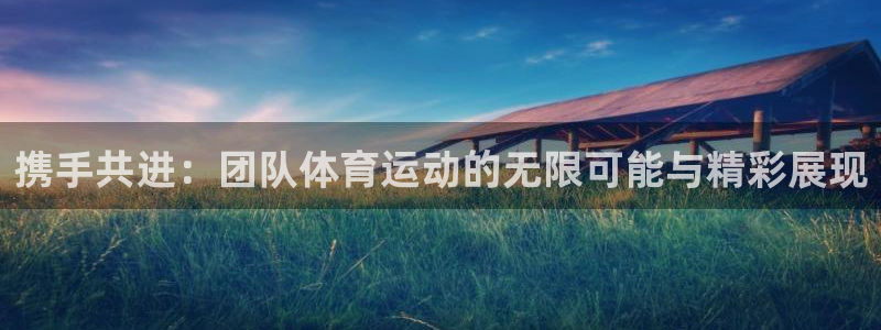 斗体育五大联赛：携手共进：团队体育运动的无限可能与精彩展现