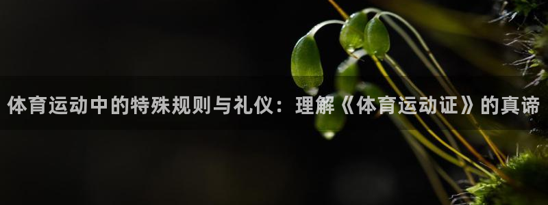 斗体育投屏版：体育运动中的特殊规则与礼仪：理解《体育运动证》的真谛