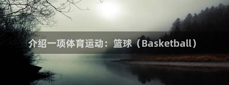 斗体育app下载官网苹果：介绍一项体育运动：篮球（Basketball）